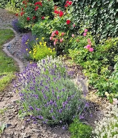 Fh Ostfriesland To Huus, Zw. Emden Und Greetsiel Holiday home Hinte